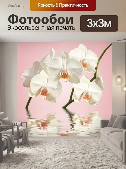 Фотообои Белые орхидеи на розовом фоне