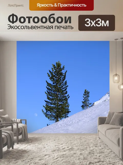 Фотообои Кедр швейцарский