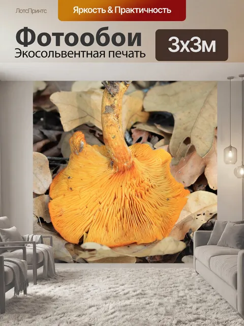 Фотообои Джек-О-Фонарь Гриб под