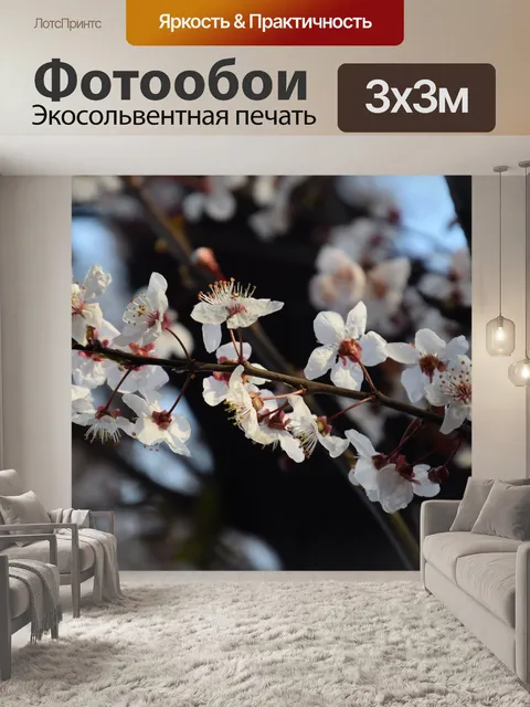 Фотообои Сакура