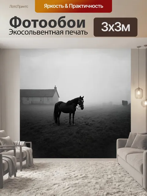 Фотообои в сером утреннем тумане