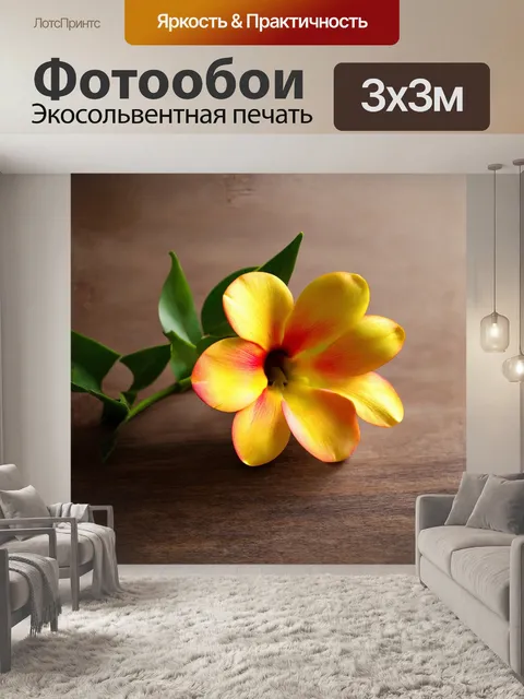 Фотообои абрикосовый цветочный натюрморт в стиле фотореализма