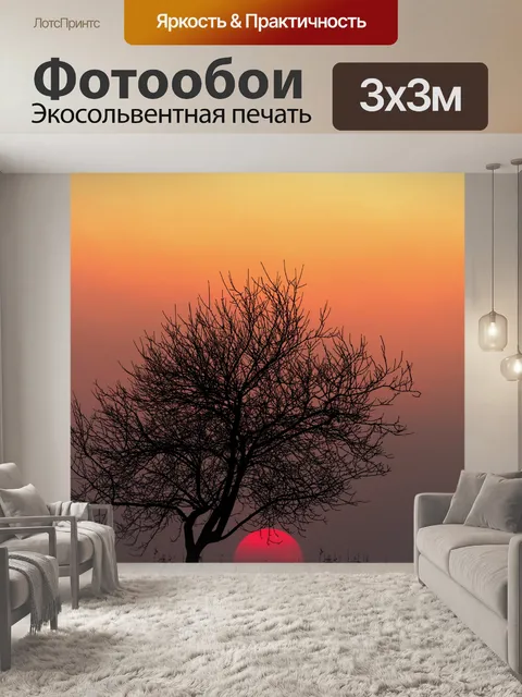 Фотообои Пейзаж заката дерева