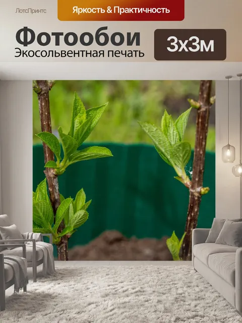 Фотообои Весна