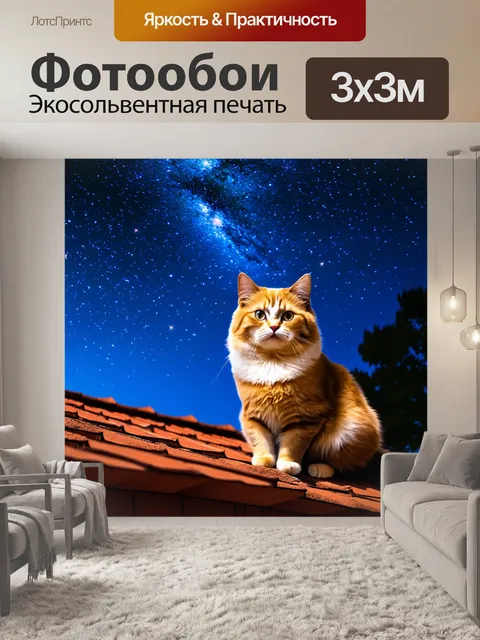 Фотообои кошка, сидящая на крыше и наблюдающая за звездами