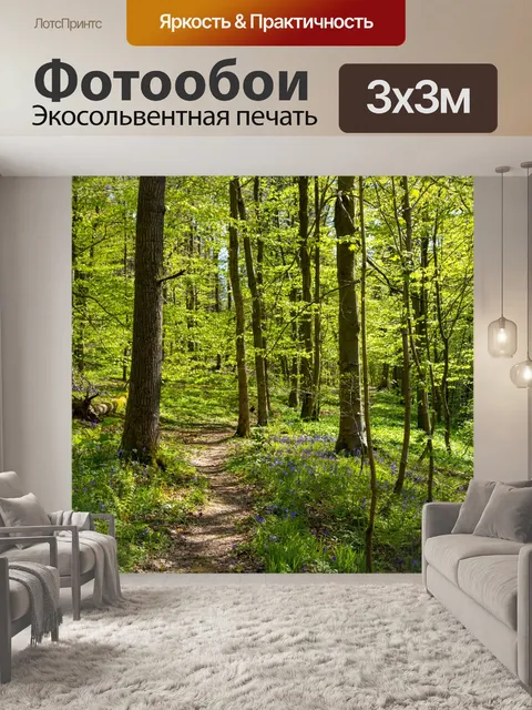 Фотообои Лес в Скиптоне