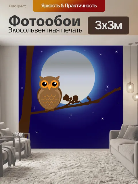 Фотообои Совы в лунном свете