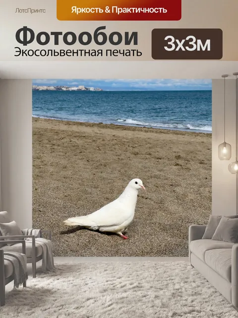 Фотообои голубь на пляже