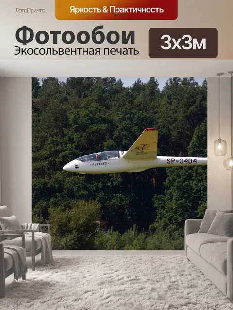 Фотообои Планер