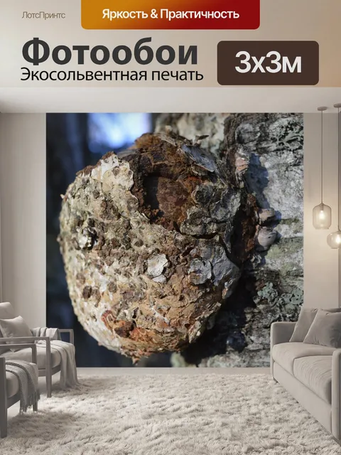 Фотообои Корявый