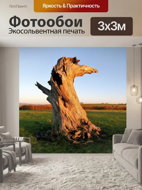 Фотообои Дерево