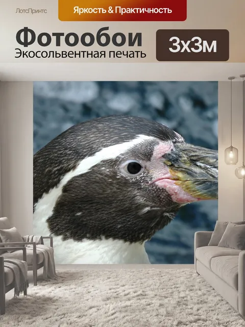 Фотообои Пингвины Руководитель