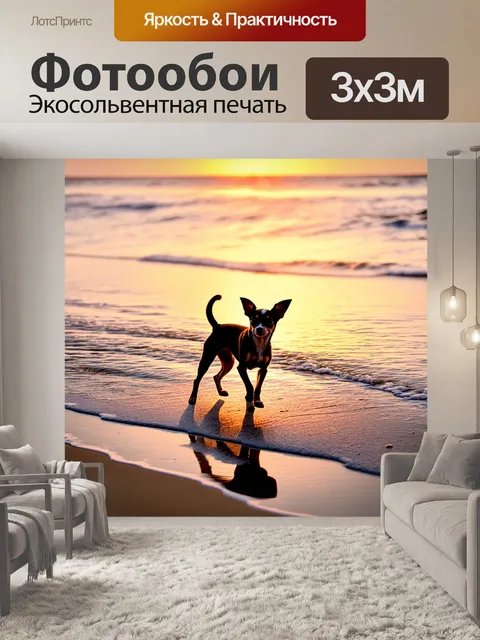 Фотообои чихуахуа, разгуливающий по пляжу во время заката с отражениями в воде