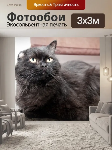 Фотообои Кошка
