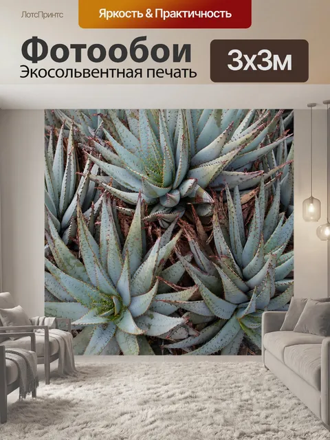 Фотообои Алоэ