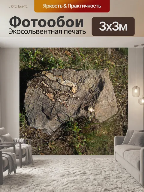 Фотообои серая скала с трещинами и рисунком