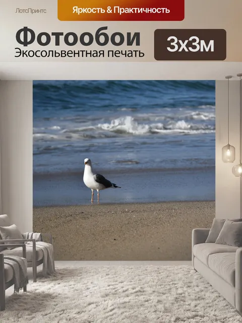 Фотообои Одна чайка на пляже