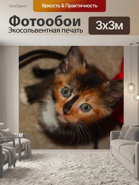 Фотообои Милый