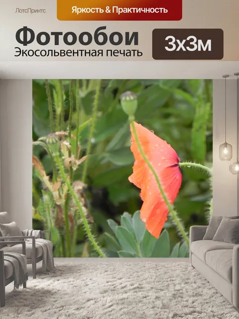 Фотообои Мак была слева