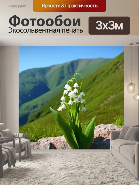 Фотообои ландыш, растущий на скалистом склоне горы, с фоном величественного пейзажа, где видны зелёные холмы и…