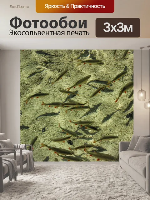 Фотообои Косяк рыб