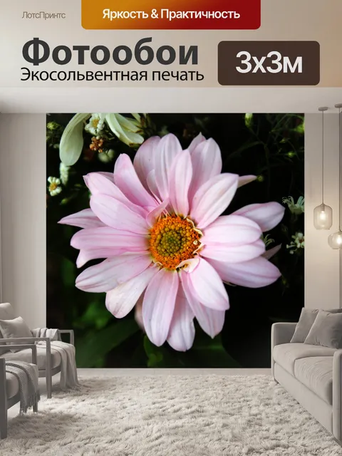 Фотообои розовый цветок