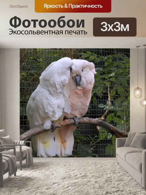 Фотообои Какаду