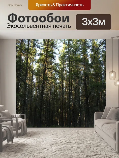 Фотообои Джек Сосновый бор