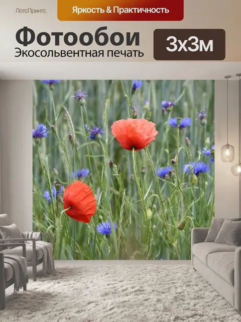 Фотообои Маковое поле
