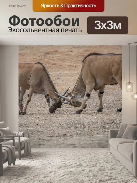 Фотообои Животное