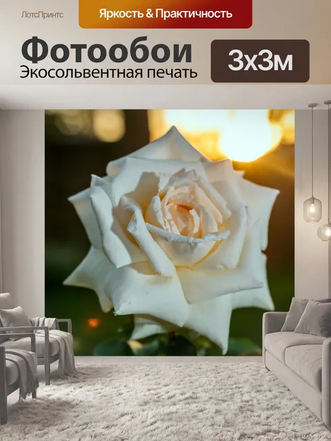 Фотообои Роза