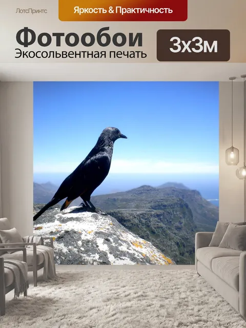 Фотообои Живопись птица на вершине горы