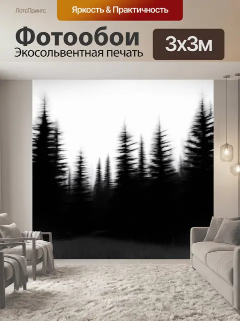 фотообои лес в стиле черно-белый: величественные ели