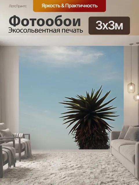 Фотообои алоэ против мрачного голубого неба