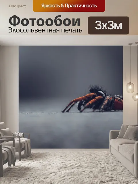Фотообои Паук