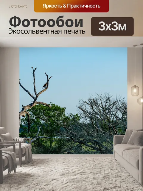 Фотообои Птицы