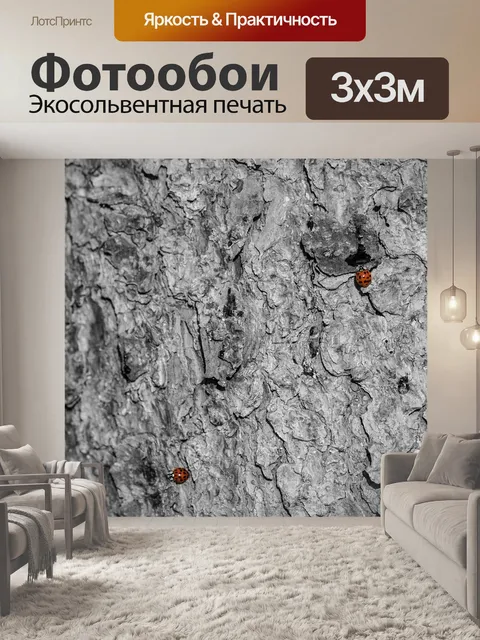 Фотообои Божья коровка