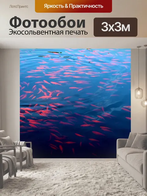 Фотообои Рыбы
