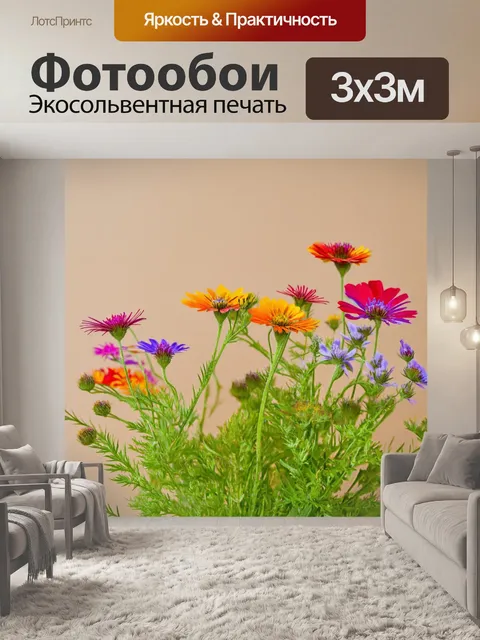Фотообои природа в стиле модерн с яркими, контрастными цветами полевых цветов на нейтральном фоне
