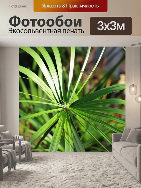 Фотообои Тропические пальмовые листья фон