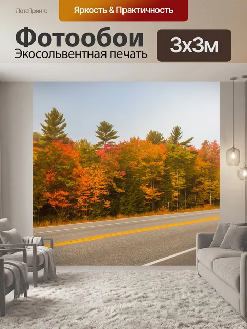 Фотообои Осенняя дорога