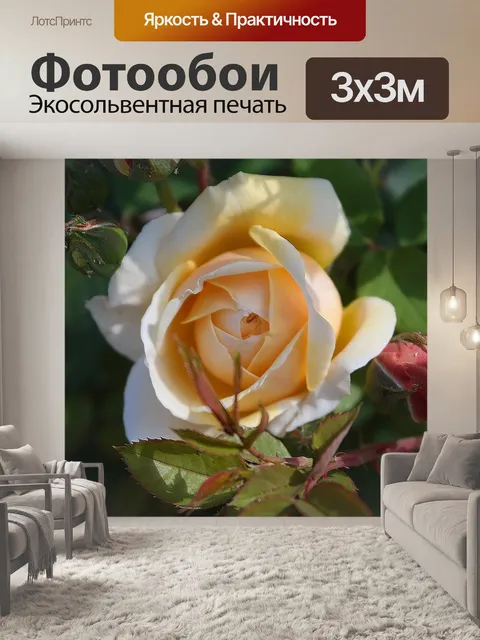 Фотообои Сад
