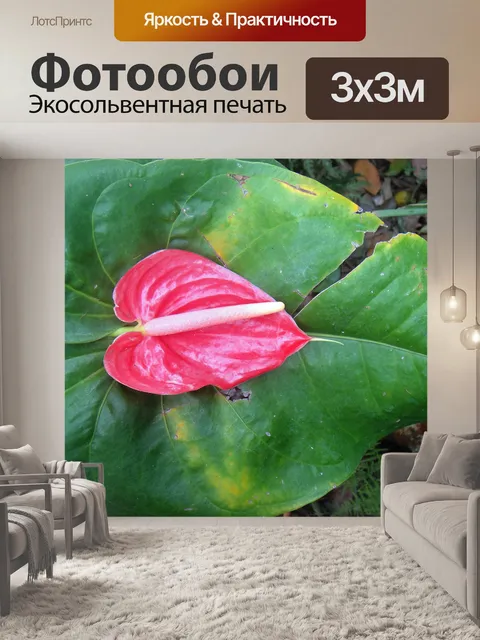 Фотообои розовые каллы