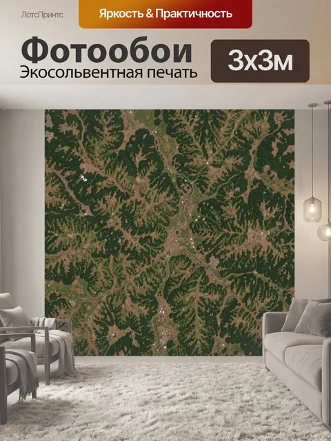 Фотообои Лесной ландшафт с сетью дорог