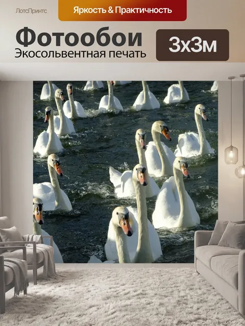 Фотообои Лебеди