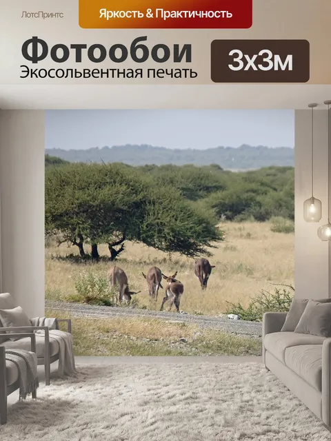 Фотообои ослы на обочине дороги