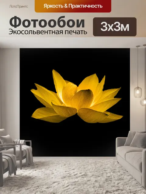 Фотообои Водяная лилия