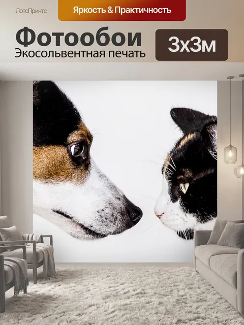 Фотообои Кошка
