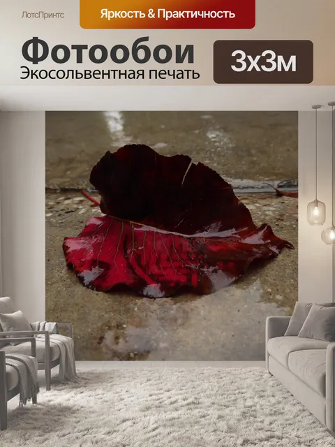 Фотообои Влажный красный лист