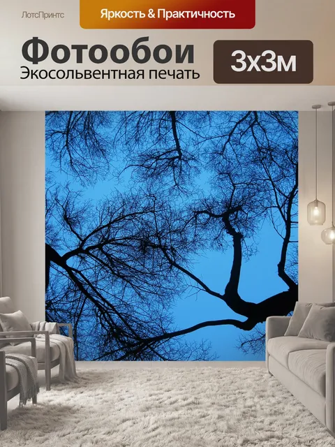 Фотообои Ветви